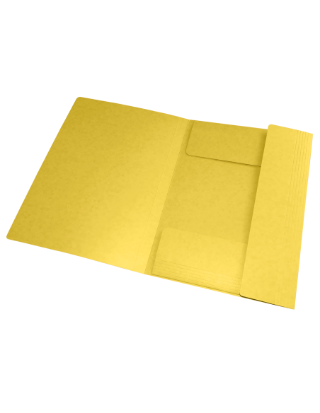 400116329-10,Dosar mapa oxford topfile a4 200f pefc galben - Set 10