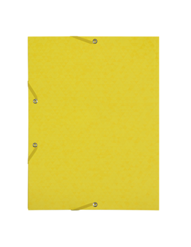 400116329-10,Dosar mapa oxford topfile a4 200f pefc galben - Set 10