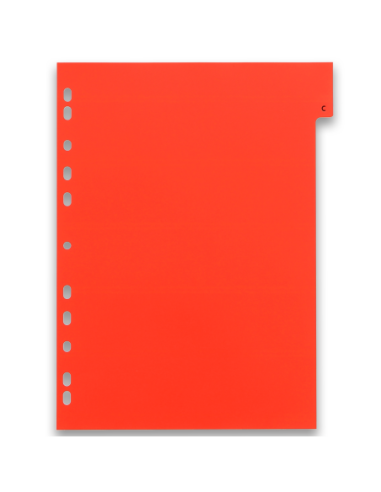 100204724,Index plastic alfabetic oxford a4 a-z 20f/set alb margine color