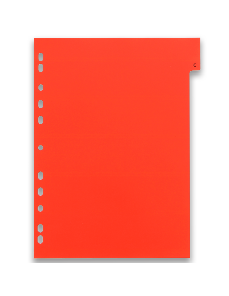 100204724,Index plastic alfabetic oxford a4 a-z 20f/set alb margine color