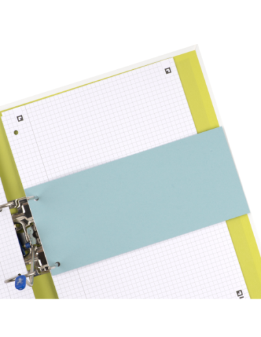 100205025,Separatoare carton oxford 10.5x24cm 190g/mp blue angel set100 albastru