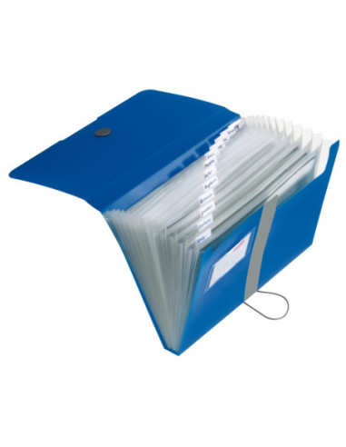 11208402,Mapa a4 eotg pp expandabila 12 compartimente +index buton elastic albastru