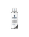 SD-SCH001/ARGINTIU-6,Spray Schneider Supreme Paint-It 030 ARGINTIU - Set 6
