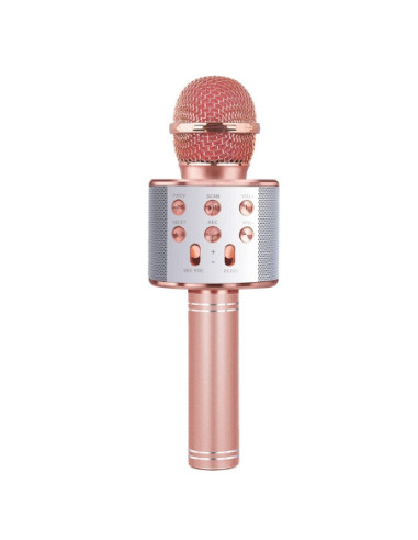 Microfon karaoke cu baterii