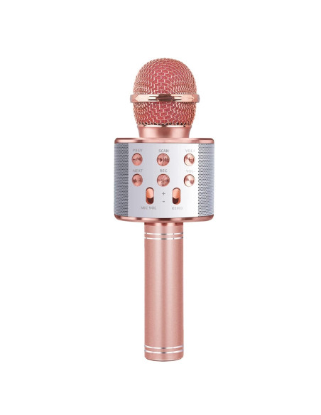 Microfon karaoke cu baterii