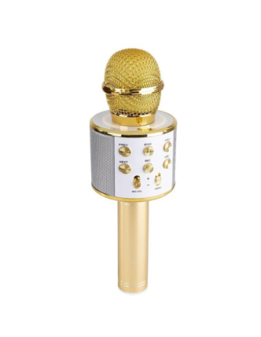 Microfon karaoke cu baterii