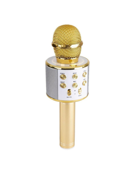Microfon karaoke cu baterii