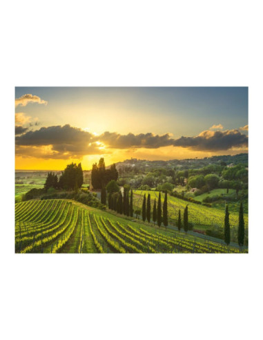 ROB-514140,Puzzle 500 piese, XL, Podgoria Maremma - DINO TOYS