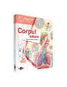 ROB-19583,Pachet Raspundel Istetel, Creion si carte - Corpul uman, ALBI - BLACKFIRE