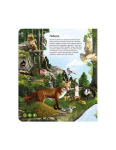 ROB-69436,Raspundel Istetel, Carte - Lumea animalelor, ALBI - Blackfire 2