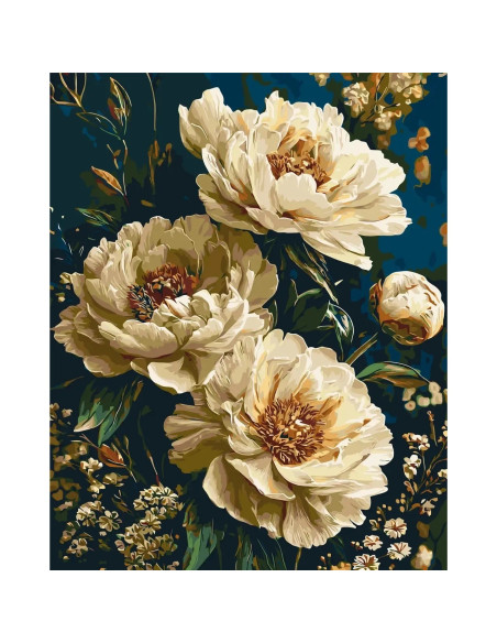 LW3064-01,Pictura pe numere cu sasiu 40x50 cm LW3064-01