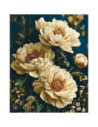 LW3064-01,Pictura pe numere cu sasiu 40x50 cm LW3064-01
