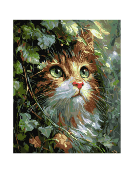 LW2002-01,Pictura pe numere cu sasiu 40x50 cm LW2002-01