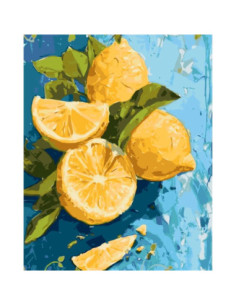 Pictura pe numere 40x50 cm...