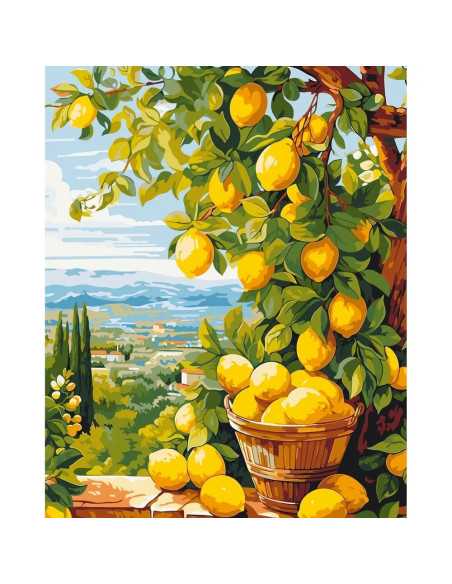 Pictura pe numere 40x50 cm LW3490