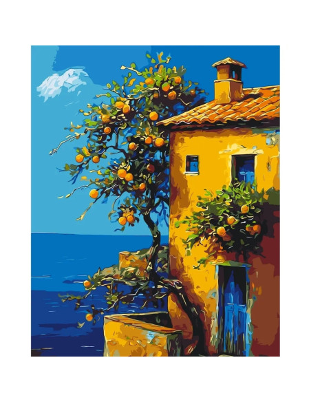 Pictura pe numere cu sasiu 40x50 cm LW3441