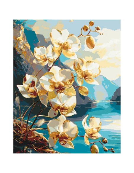 Pictura pe numere, cu sasiu, 40x50 cm, LW30311