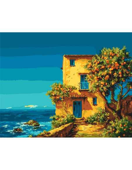 Pictura pe numere cu sasiu 40x50 cm LW3540