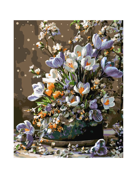 Pictura pe numere cu sasiu 40x50 cm LW31520-01