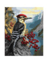 KHO6778,Pictura pe numere cu sasiu 40x50 cm KHO6778