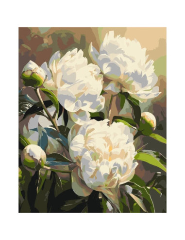 LW3533,Pictura pe numere cu sasiu 40x50 cm LW3533