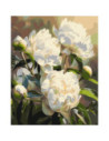 LW3533,Pictura pe numere cu sasiu 40x50 cm LW3533