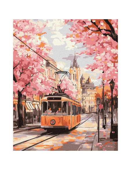 Pictura pe numere 40x50 cm KHO6388