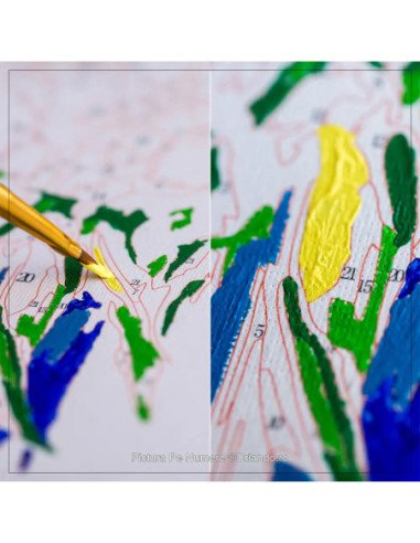 LW3509,Pictura pe numere 40x50 cm LW3509