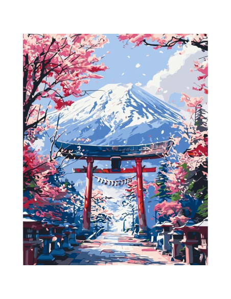 Pictura pe numere cu sasiu 40x50 cm LW3456