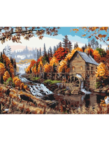 LW3013,Pictura pe numere cu sasiu 40x50 cm LW3013