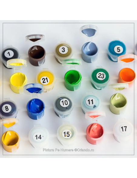 KHO8438,Pictura pe numere, cu sasiu, 40x50 cm, KHO8438