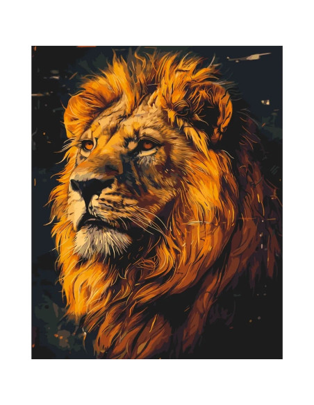 LW2230,Pictura pe numere, cu sasiu, 40x50 cm, LW2230