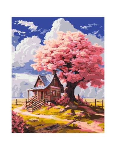 Pictura pe numere cu sasiu 40x50 cm...