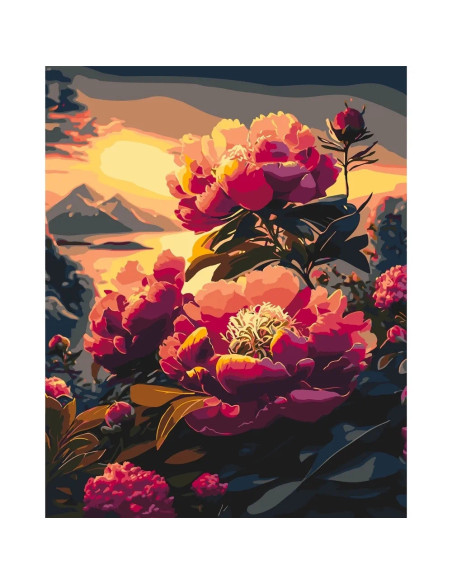 Pictura pe numere cu sasiu 40x50 cm LW2004