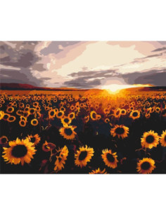 Pictura pe numere 40x50 cm...