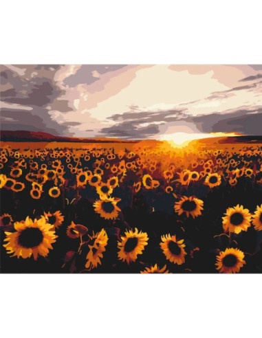 Pictura pe numere 40x50 cm LW3175