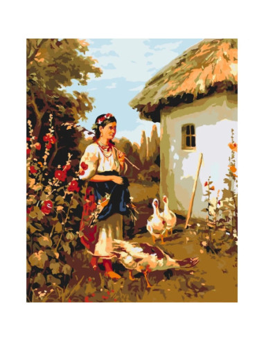 Pictura pe numere cu sasiu 40x50 cm...