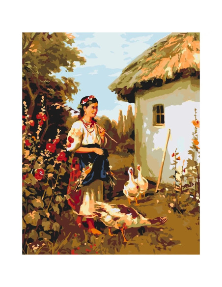Pictura pe numere cu sasiu 40x50 cm LW3161