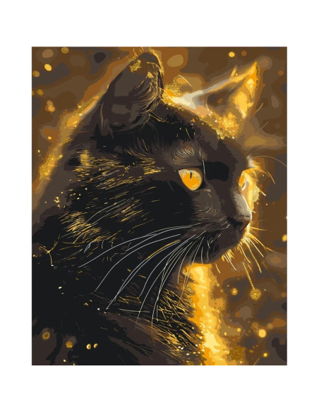Pictura pe numere cu sasiu (culori acrilice metalizate) 40x50 cm LW3301