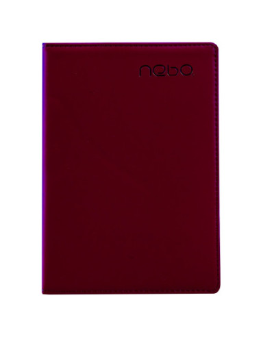 Agenda nedatata, 96 file - NEBO