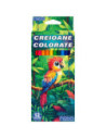 ROB-16421,Creioane color, hexagonale, 12 culori - NEBO