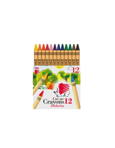 SD-SKR245-24,Creioane cerate Ico Arici 12/set