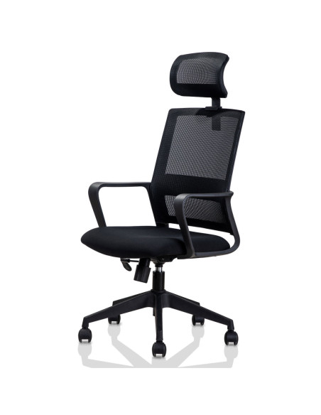 DLE4503,Scaun birou executive spatar mesh, sist roti nylon, tetiera 4503 Deli