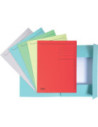 EX448006E-50,Dosar carton plic albastru Exacompta - Set 50
