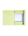 EX448005E-50,Dosar carton plic galben Exacompta - Set 50