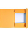 EX448009E-50,Dosar carton plic portocaliu Exacompta - Set 50