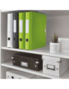 LZ11070054-5,Biblioraft plastifiat 5cm 180grade verde active wow Leitz - Set 5