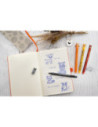 EF560174,Display 36 rollere 0.7 mm albastru erasable ed 2026 Eberhard faber