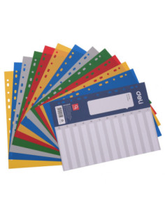 DLE5725A,Separatoare index plastic 1-12 color Deli 2