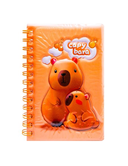 Notes B6 cu arc, 60 file, liniatura dictando, Motiv Capybara 3D, Modele asortate